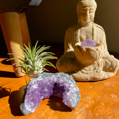 One-of-a-kind Half Moon Shaped Purple Amethyst Crystal Air Plant Holder - Includes Gift Box and Healthy Tillandsia