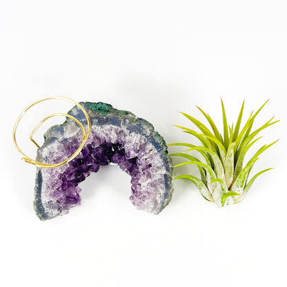 One-of-a-kind Half Moon Shaped Purple Amethyst Crystal Air Plant Holder - Includes Gift Box and Healthy Tillandsia