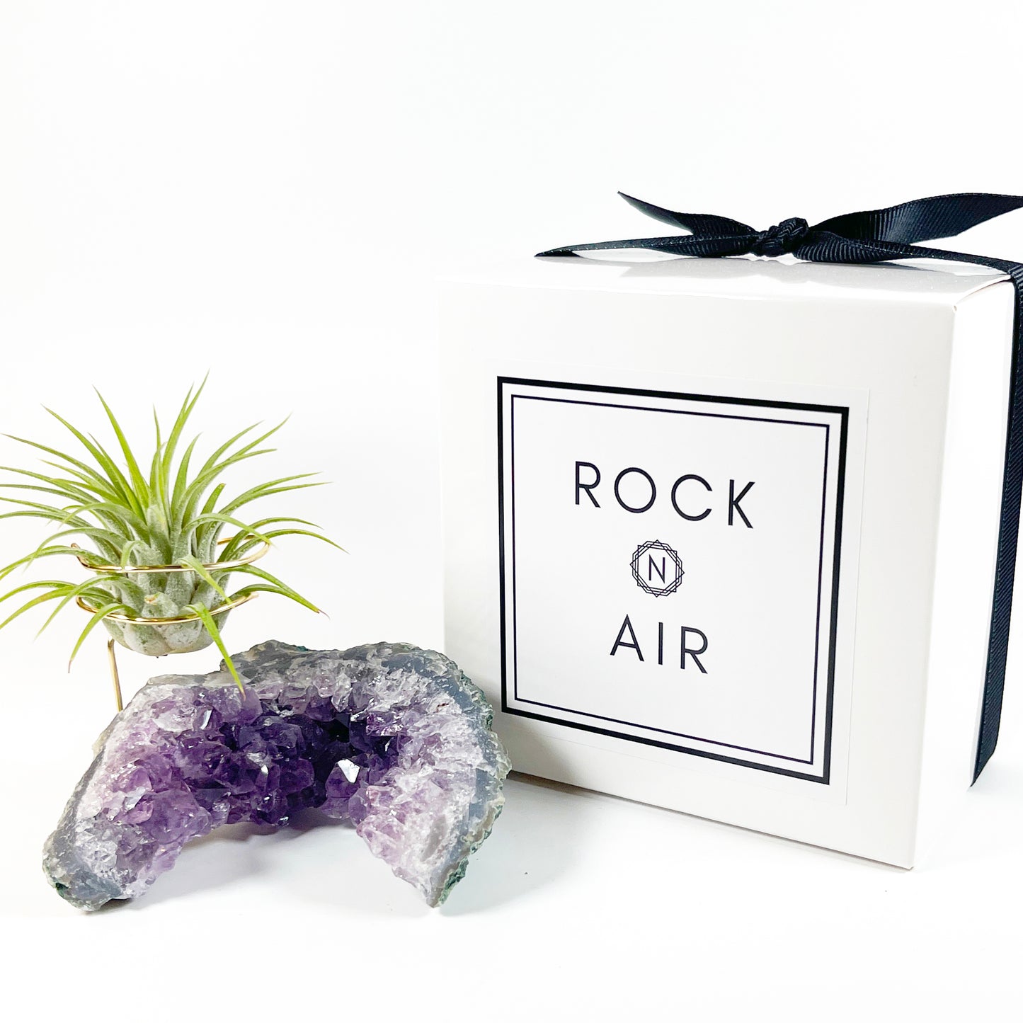 One-of-a-kind Half Moon Shaped Purple Amethyst Crystal Air Plant Holder - Includes Gift Box and Healthy Tillandsia