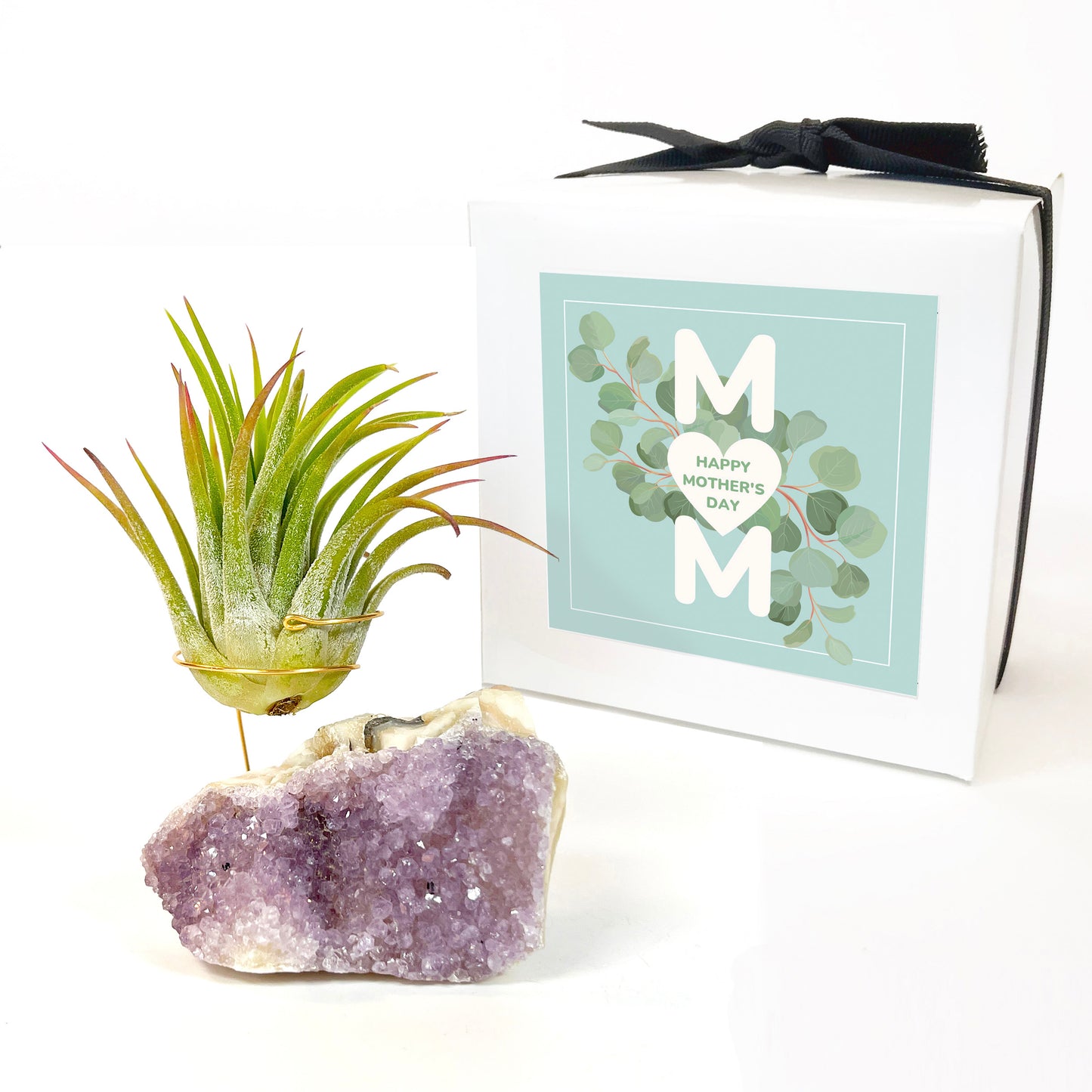 Mother's Day Gift for Plant Lovers - One-of-a-Kind Amethyst Crystal Air Plant Holder - Includes Tillandsia Plant and MOM Gift Box