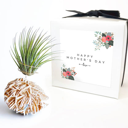 Mother's Day Gift — Desert Rose Air Plant Holder