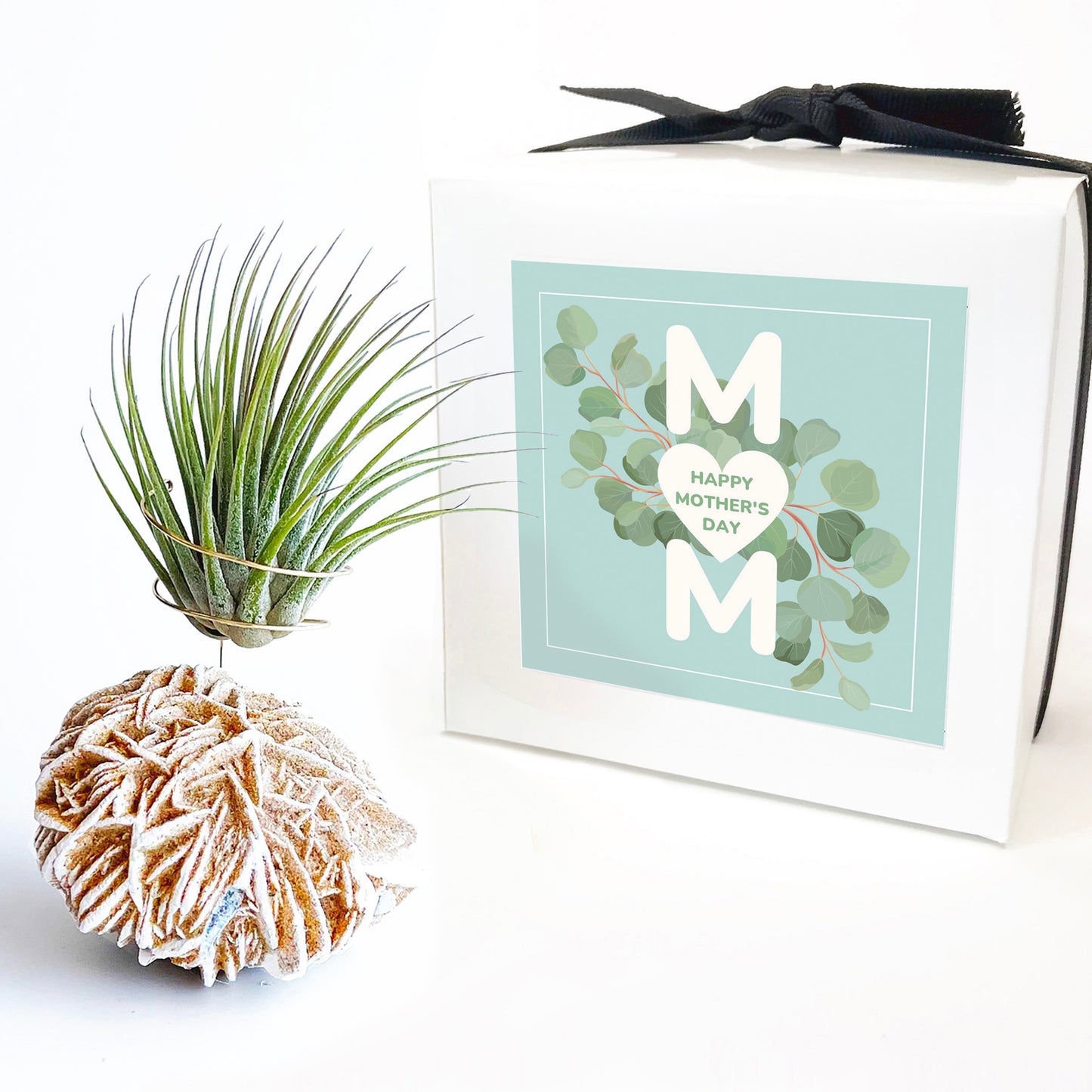 Mother's Day Gift — Desert Rose Air Plant Holder