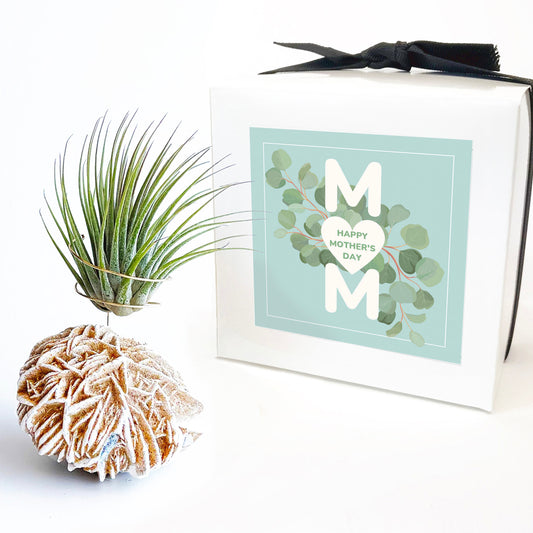 Mother's Day Gift — Desert Rose Air Plant Holder