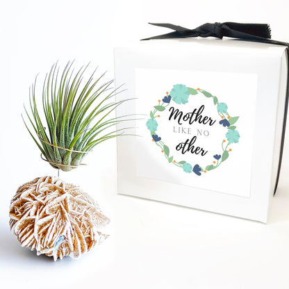 Mother's Day Gift — Desert Rose Air Plant Holder