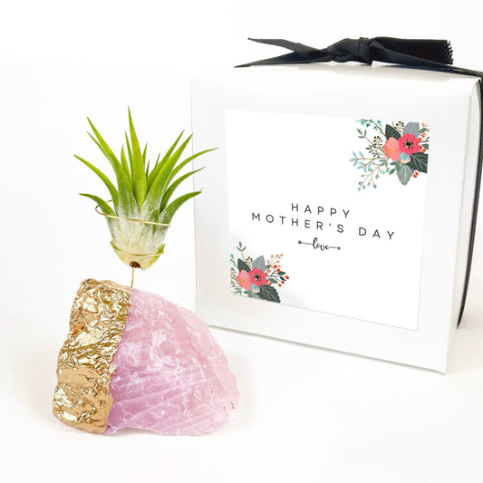 Mother's Day Gift - Gold Dipped Rose Quartz Air Plant Holder