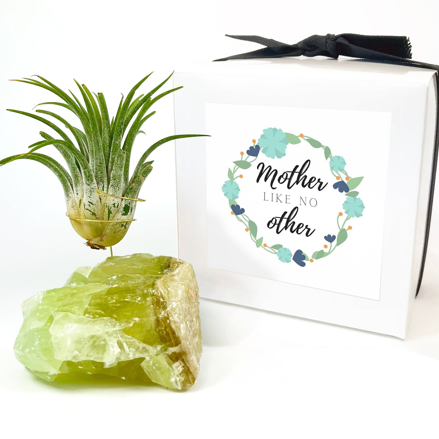 Green Calcite Air Plant Holder