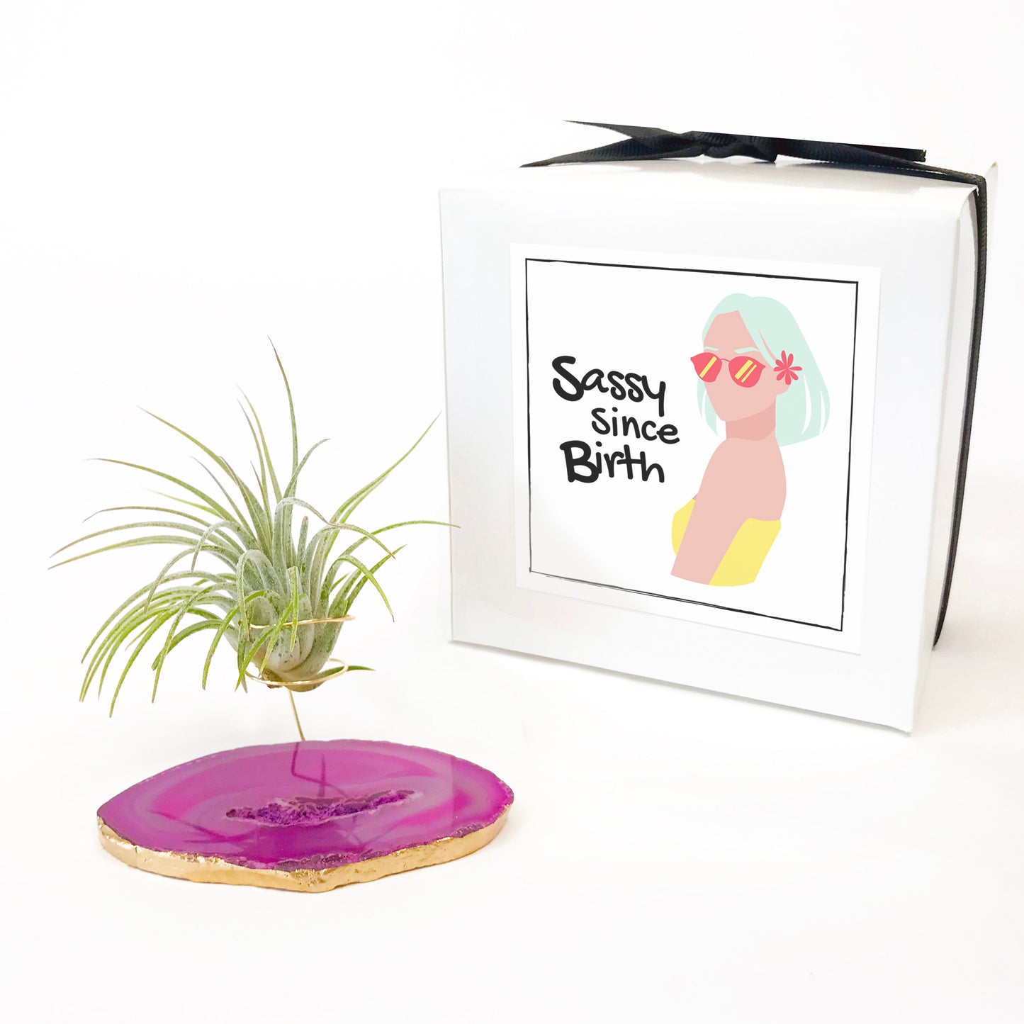 Pink Agate Crystal Air Plant Holder