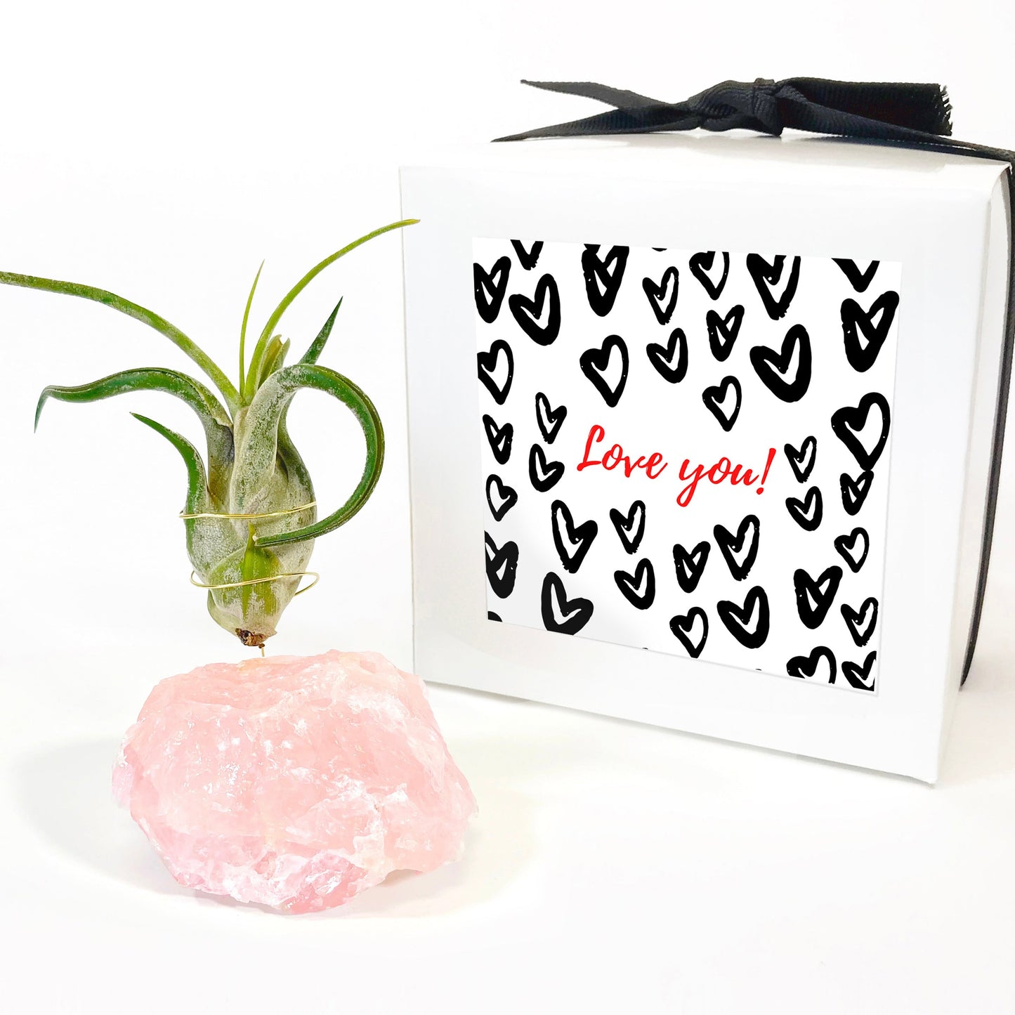 Get Well Gift - Rose Quartz Air Plant Holder - Caput Medusae Air Plant