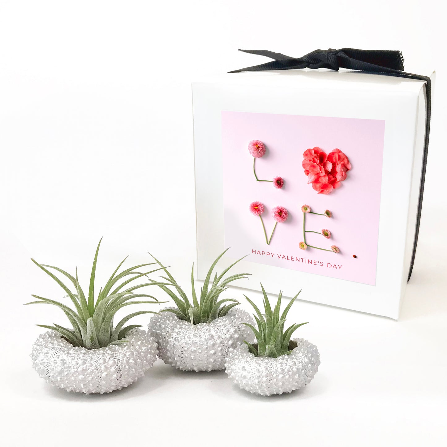 Silver Metallic Sea Urchin Air Plant Holder (Set of 3)