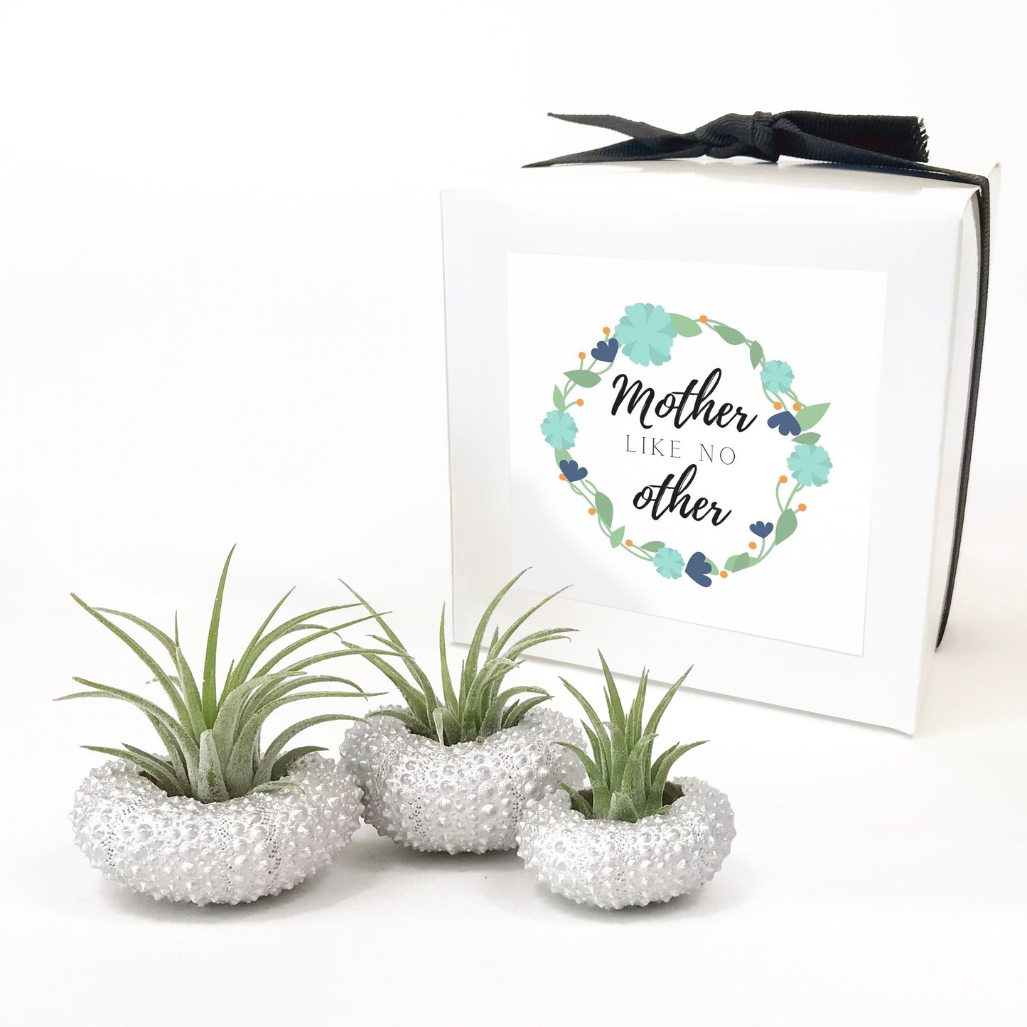 Silver Metallic Sea Urchin Air Plant Holder (Set of 3)