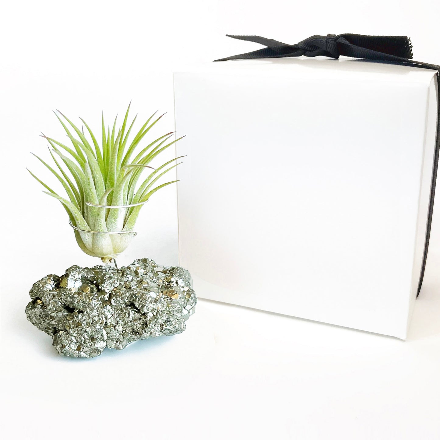 Mother's Day Gift — Small Pyrite Air Plant Holder