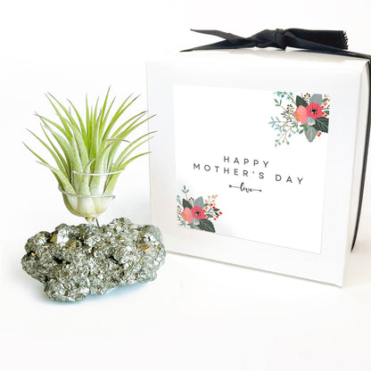 Mother's Day Gift — Small Pyrite Air Plant Holder