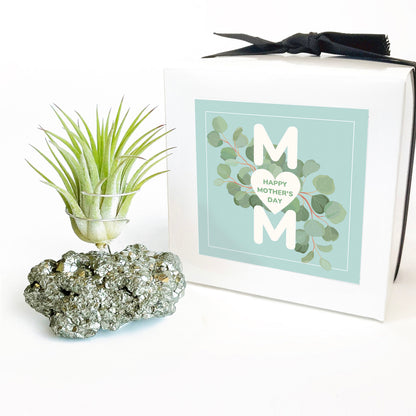 Mother's Day Gift — Small Pyrite Air Plant Holder