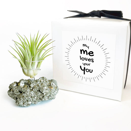 Sympathy Gift - Small Pyrite Air Planter