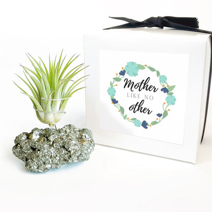 Mother's Day Gift — Small Pyrite Air Plant Holder