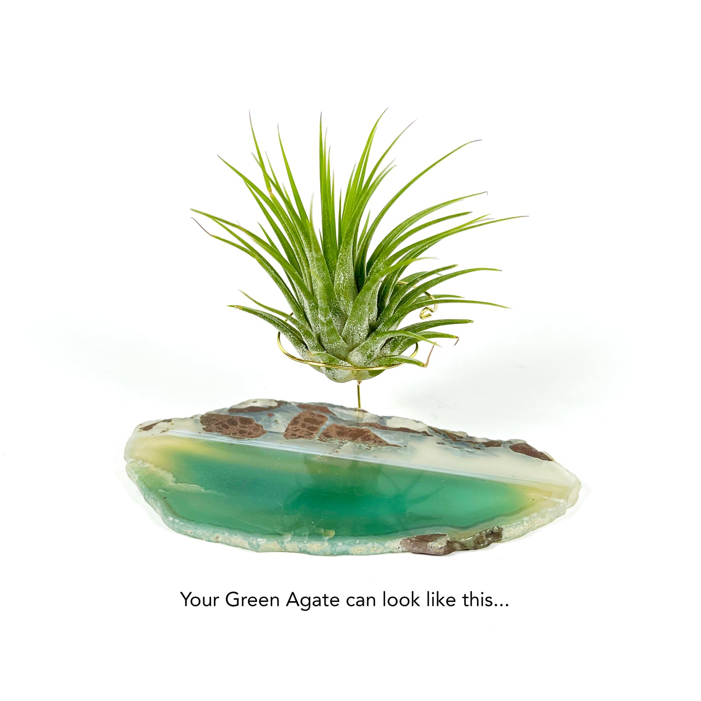 Green Agate Air Plant Holder/Stand (includes Air Plant and Merry Christmas Gift Box)