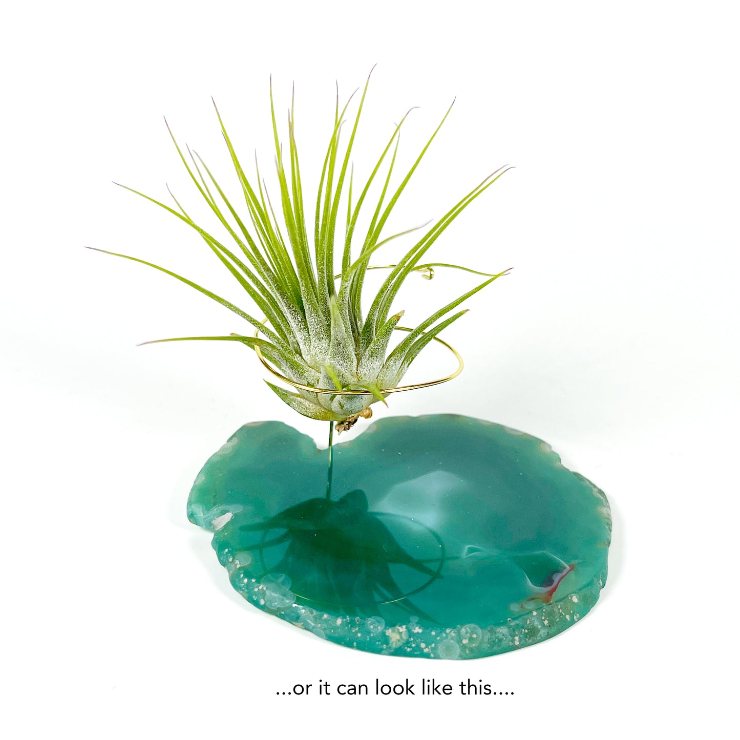 Green Agate Air Plant Holder/Stand (includes Air Plant and Merry Christmas Gift Box)