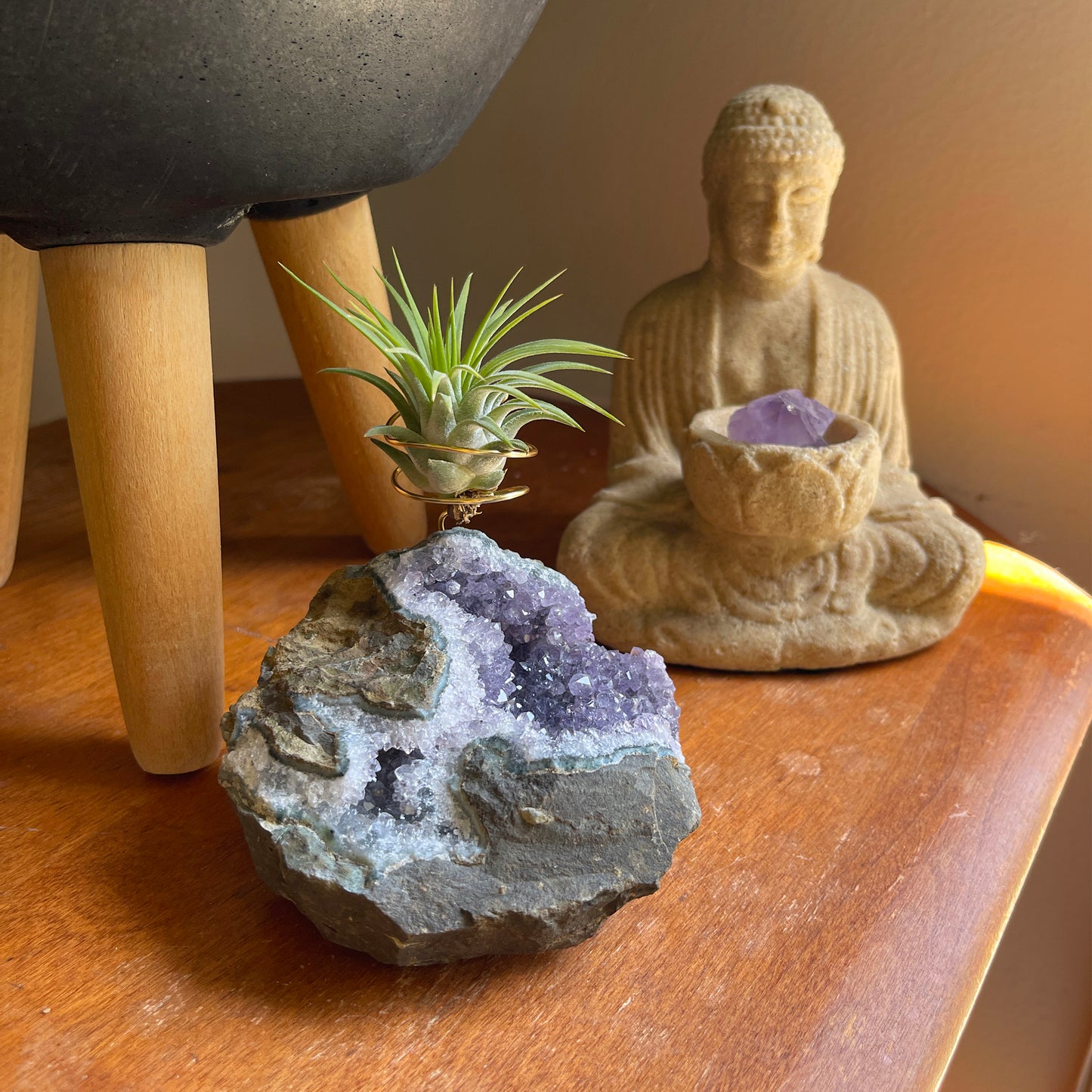 Rare Natural Amethyst Crystal with Cave like Design Air Plant Holder - Unique Crystal and Plant Center Piece