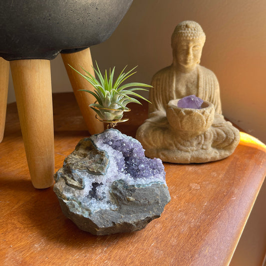 Rare Natural Amethyst Crystal with Cave like Design Air Plant Holder - Unique Crystal and Plant Center Piece