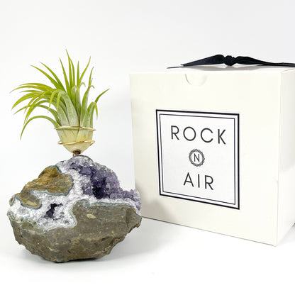 Rare Natural Amethyst Crystal with Cave like Design Air Plant Holder - Unique Crystal and Plant Center Piece
