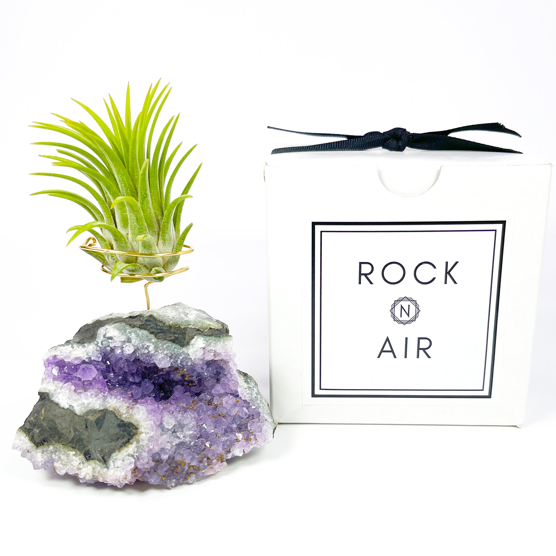 amethyst air plant holder One-of-a-Kind Amethyst Air Plant Holder with Distinctive Gemstone Laye – Rock n Air Studio