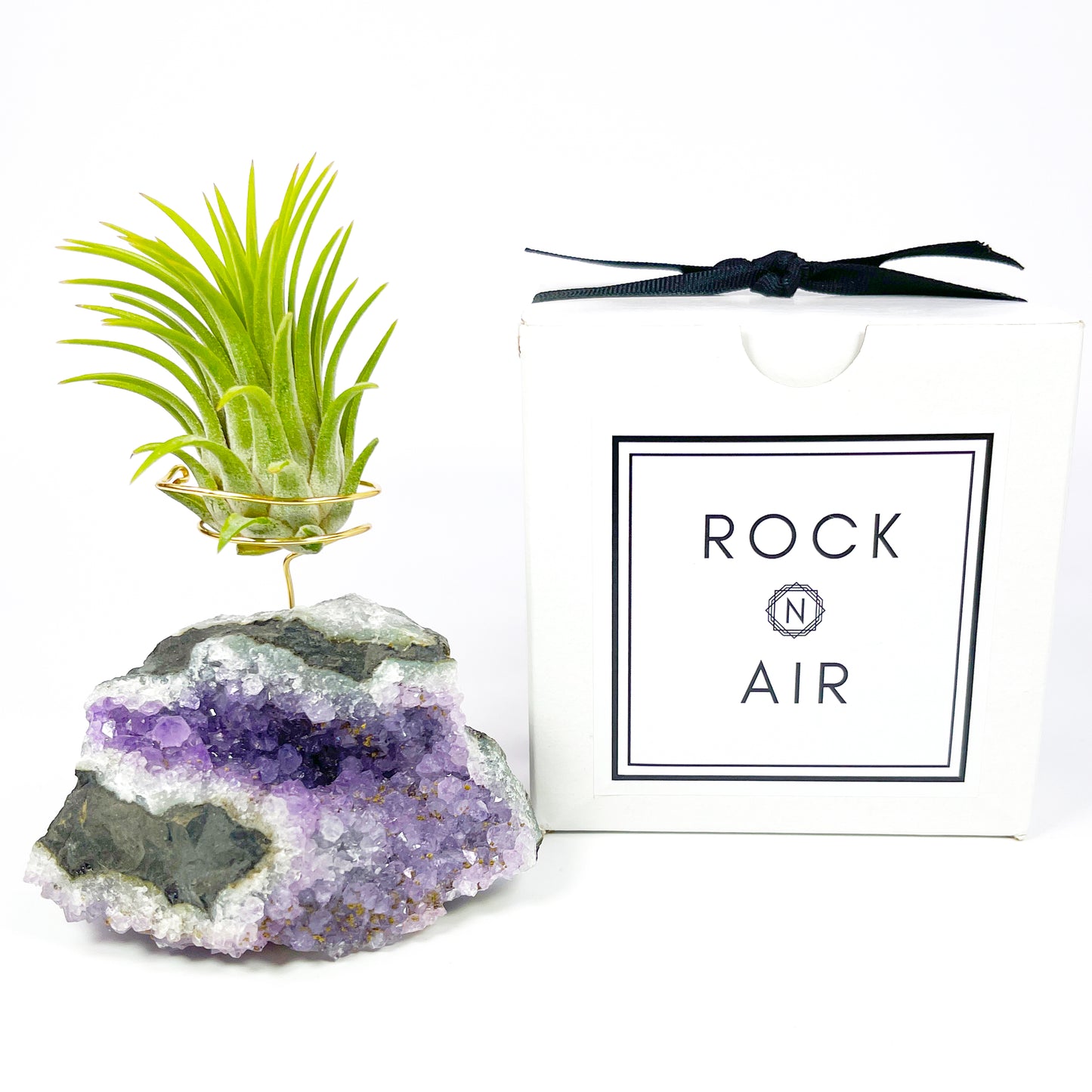 One-of-a-Kind Amethyst Air Plant Holder (comes with Air Plant and Gift Box)