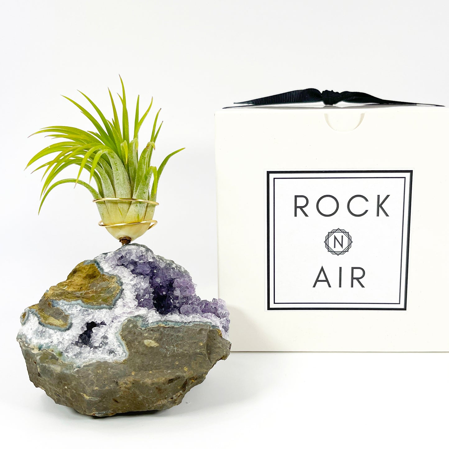 Rare Natural Amethyst Crystal with Cave like Design Air Plant Holder - Unique Crystal and Plant Center Piece