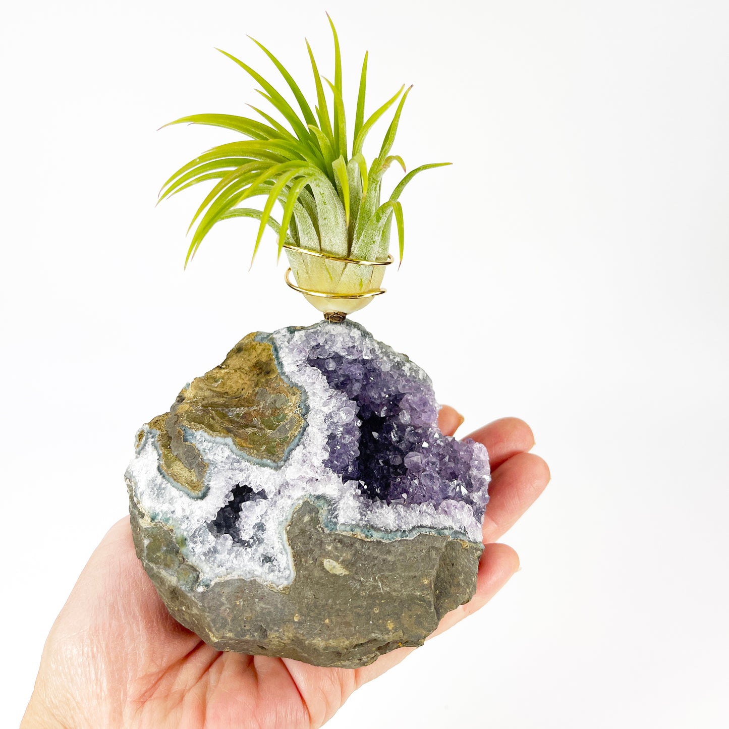 Rare Natural Amethyst Crystal with Cave like Design Air Plant Holder - Unique Crystal and Plant Center Piece