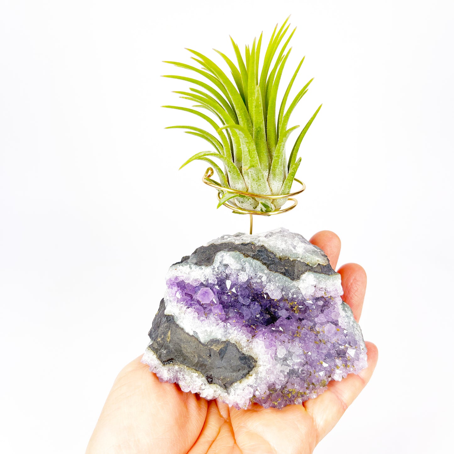 One-of-a-Kind Amethyst Air Plant Holder (comes with Air Plant and Gift Box)