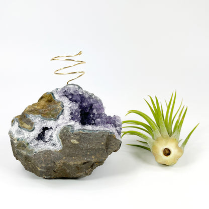 Rare Natural Amethyst Crystal with Cave like Design Air Plant Holder - Unique Crystal and Plant Center Piece