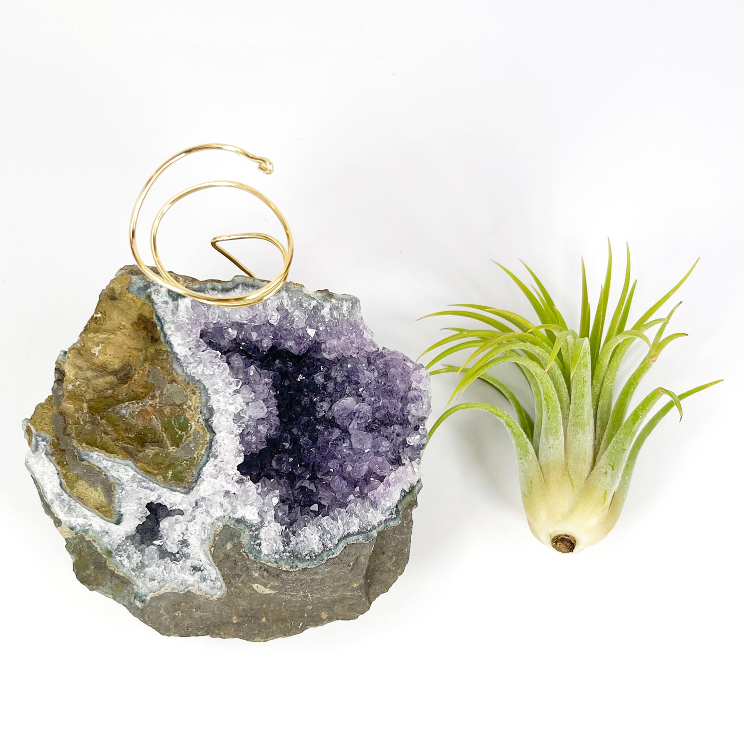 Rare Natural Amethyst Crystal with Cave like Design Air Plant Holder - Unique Crystal and Plant Center Piece