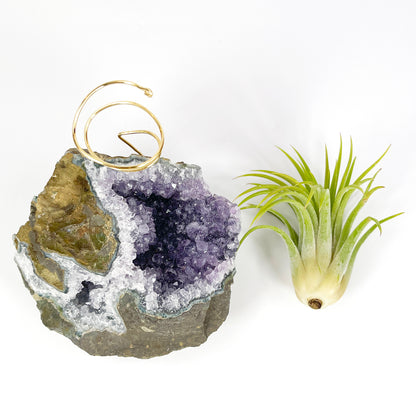 Rare Natural Amethyst Crystal with Cave like Design Air Plant Holder - Unique Crystal and Plant Center Piece
