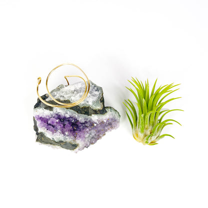 One-of-a-Kind Amethyst Air Plant Holder (comes with Air Plant and Gift Box)