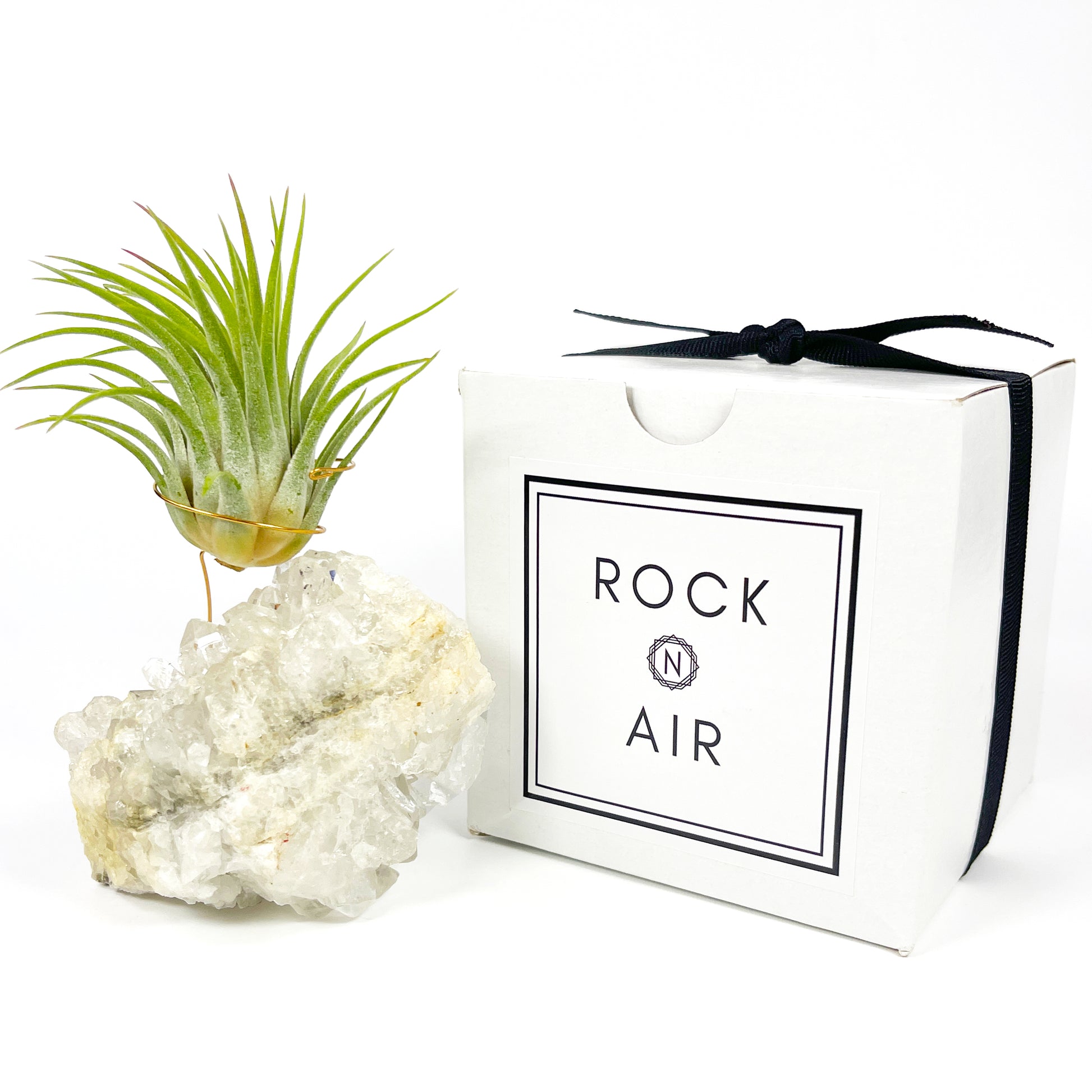 quartz air plant One-of-a-Kind Clear Quartz Crystal Air Plant Holder – Rock n Air Studio
