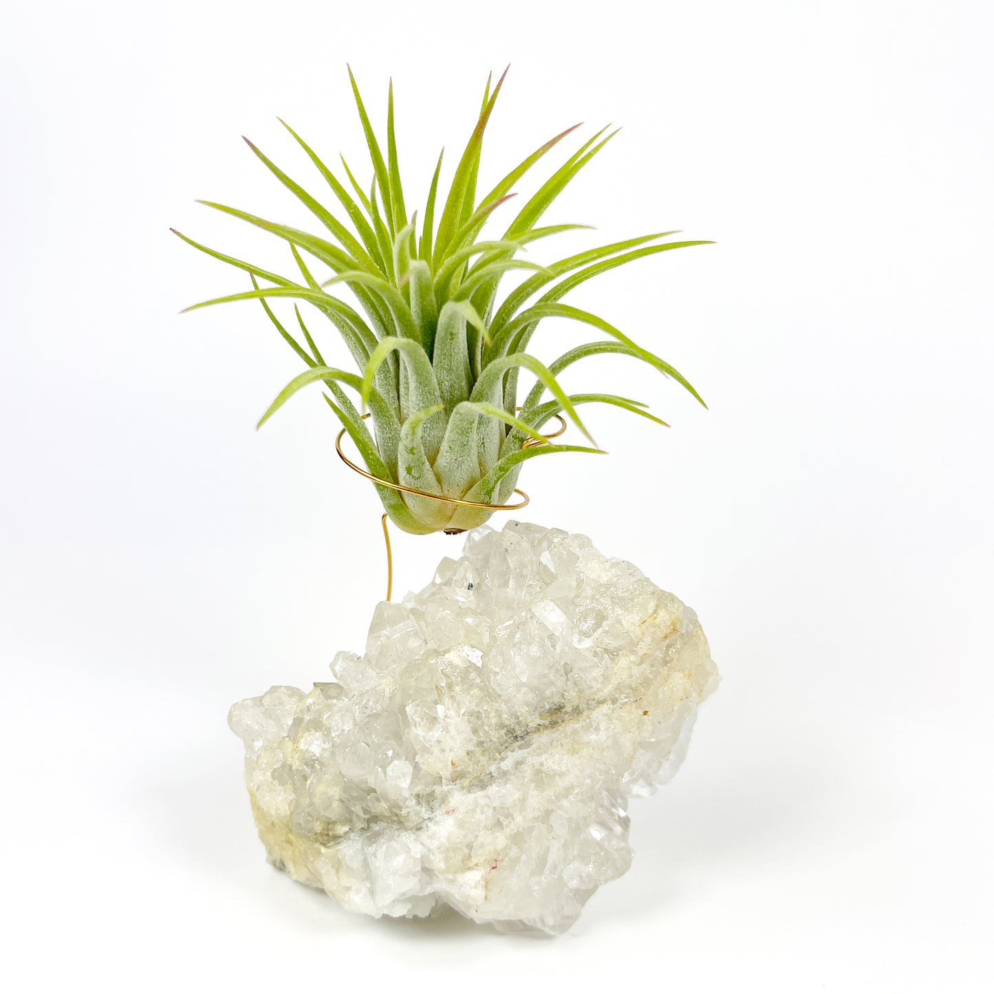 One-of-a-Kind Clear Quartz Crystal Air Plant Holder