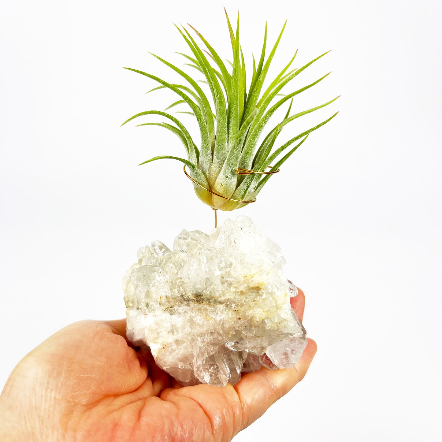 One-of-a-Kind Clear Quartz Crystal Air Plant Holder