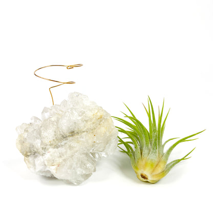 One-of-a-Kind Clear Quartz Crystal Air Plant Holder