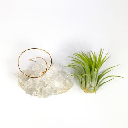 One-of-a-Kind Clear Quartz Crystal Air Plant Holder