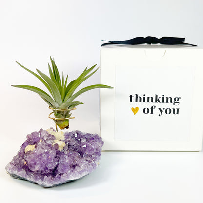 One-of-a-Kind Amethyst Crystal with Unique Calcites Air Plant Holder - Plant and Crystal Lover Gift