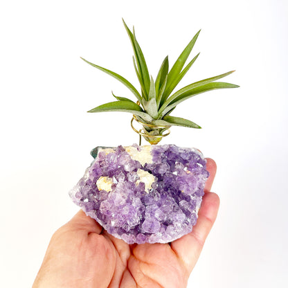 One-of-a-Kind Amethyst Crystal with Unique Calcites Air Plant Holder - Plant and Crystal Lover Gift