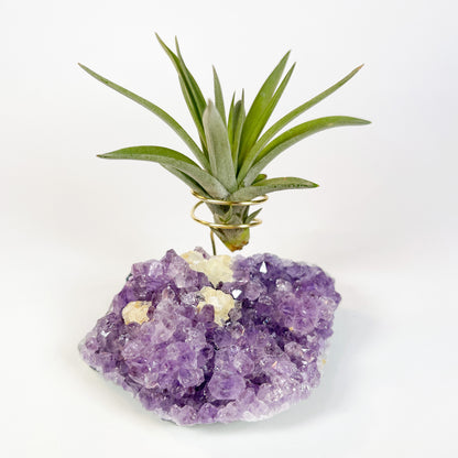 One-of-a-Kind Amethyst Crystal with Unique Calcites Air Plant Holder - Plant and Crystal Lover Gift