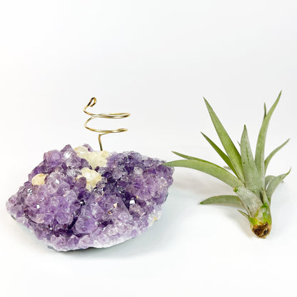 One-of-a-Kind Amethyst Crystal with Unique Calcites Air Plant Holder - Plant and Crystal Lover Gift