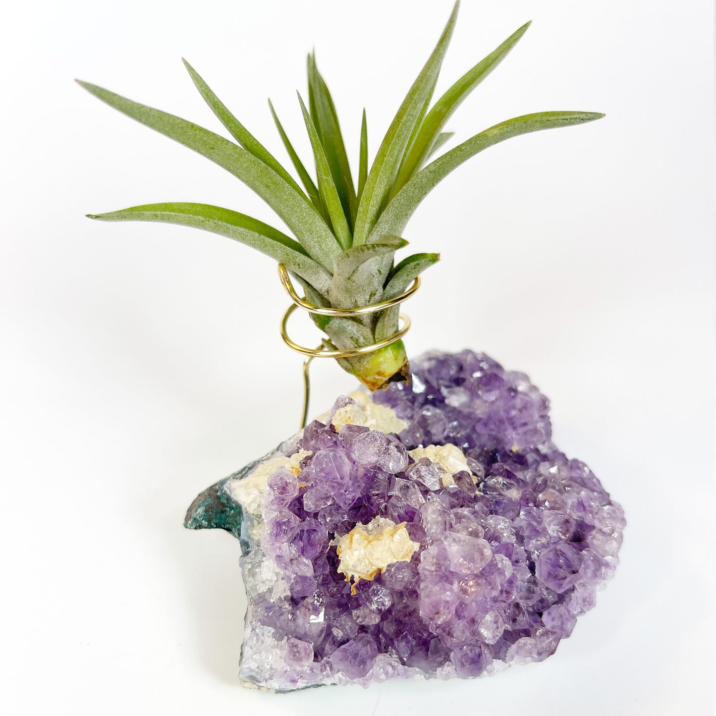 One-of-a-Kind Amethyst Crystal with Unique Calcites Air Plant Holder - Plant and Crystal Lover Gift