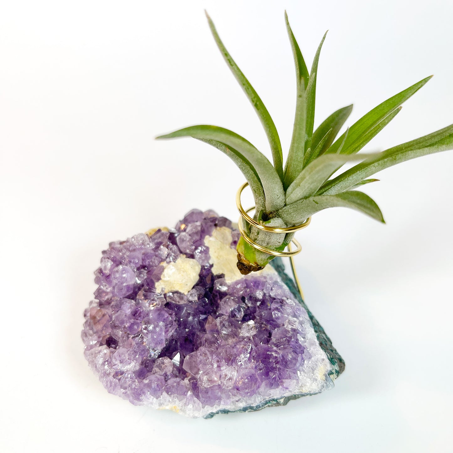 One-of-a-Kind Amethyst Crystal with Unique Calcites Air Plant Holder - Plant and Crystal Lover Gift