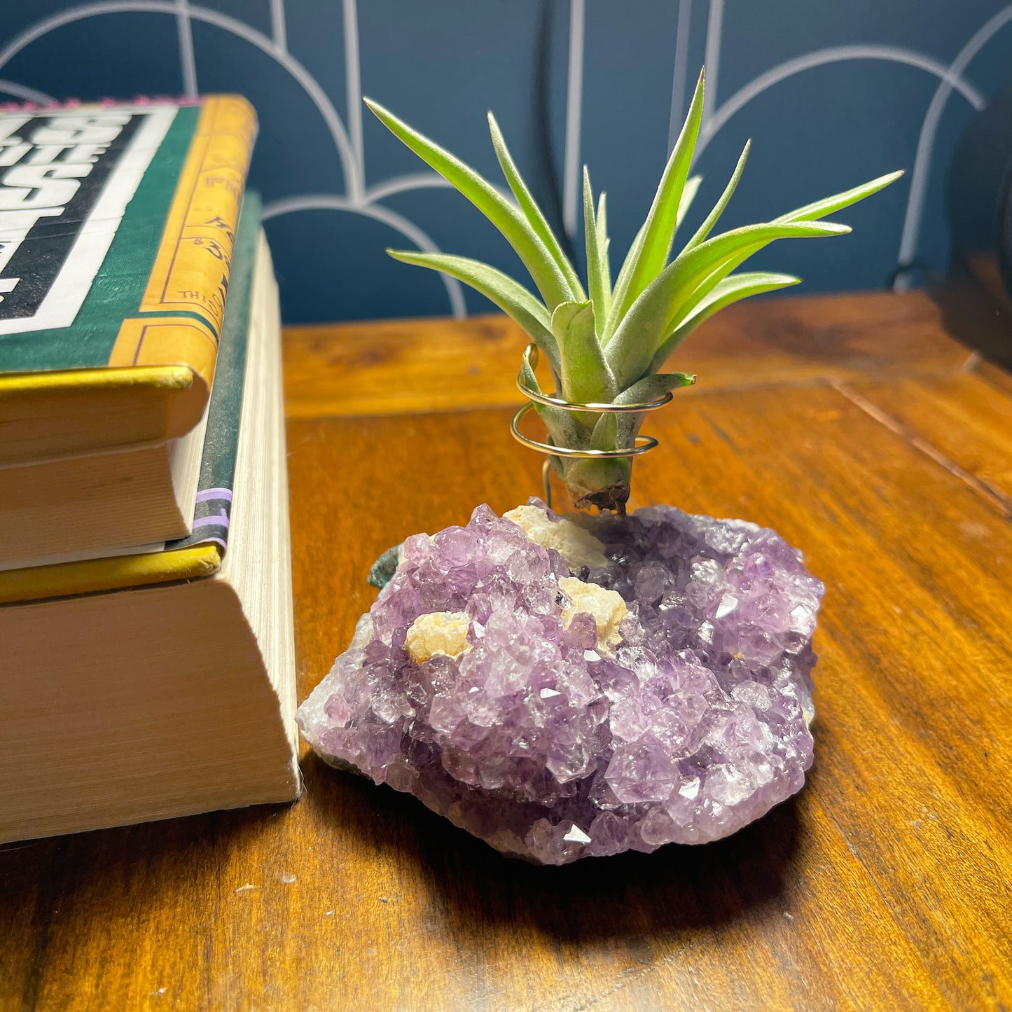 One-of-a-Kind Amethyst Crystal with Unique Calcites Air Plant Holder - Plant and Crystal Lover Gift