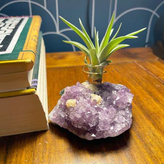 One-of-a-Kind Amethyst Crystal with Unique Calcites Air Plant Holder - Plant and Crystal Lover Gift