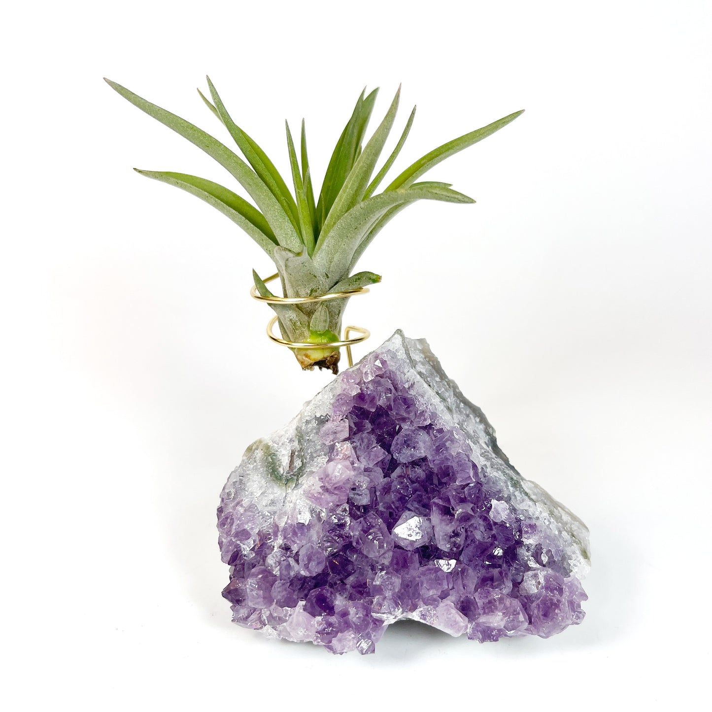 One-of-a-Kind Purple Amethyst Crystal Tillandsia Air Plant Holder - Zen Garden Desk Decor