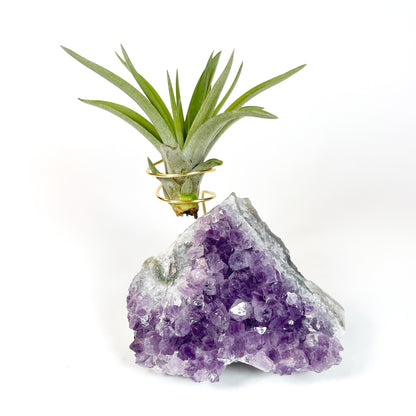 One-of-a-Kind Purple Amethyst Crystal Tillandsia Air Plant Holder - Zen Garden Desk Decor