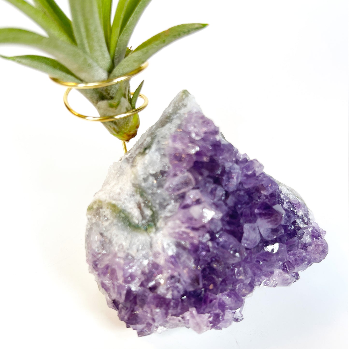 One-of-a-Kind Purple Amethyst Crystal Tillandsia Air Plant Holder - Zen Garden Desk Decor