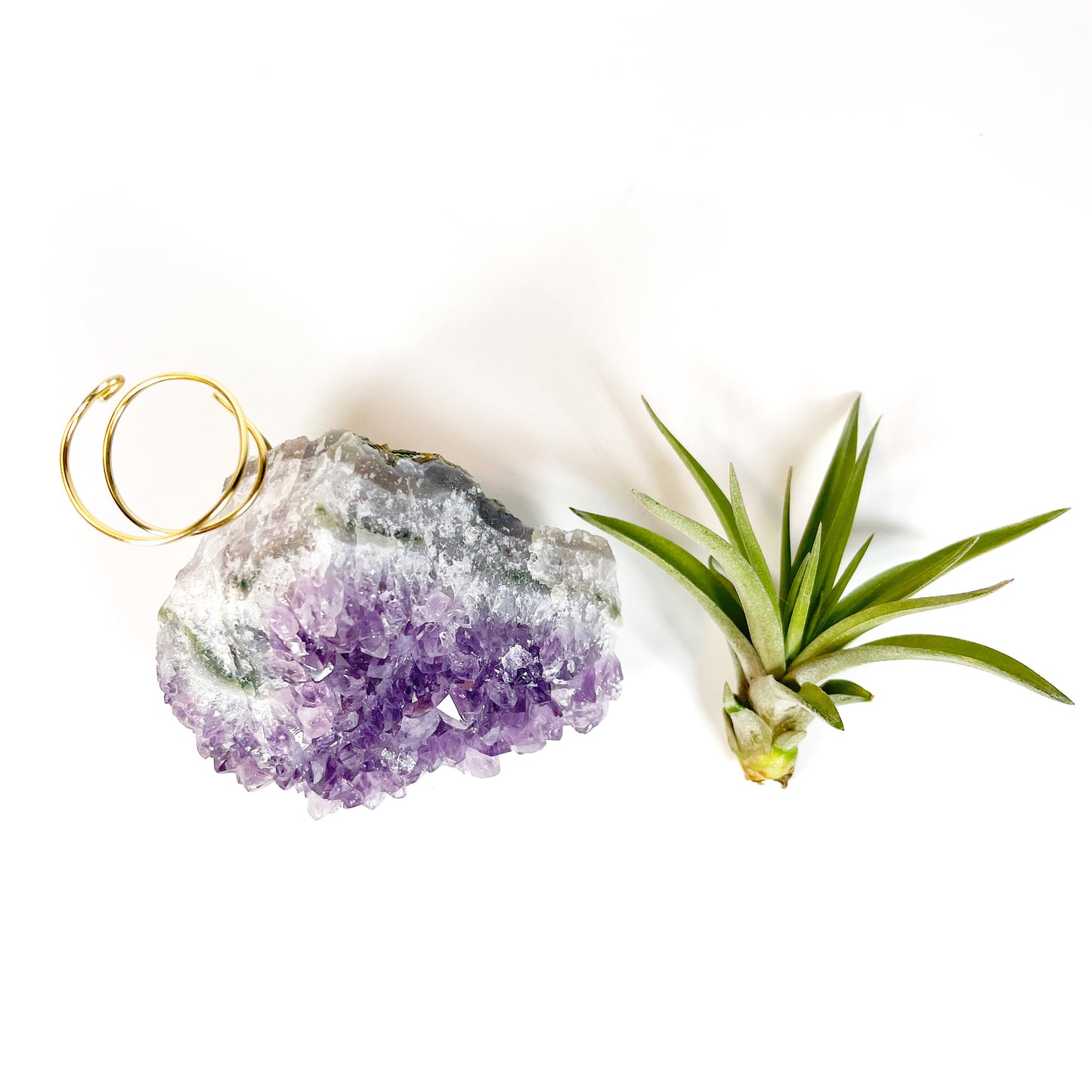 One-of-a-Kind Purple Amethyst Crystal Tillandsia Air Plant Holder - Zen Garden Desk Decor